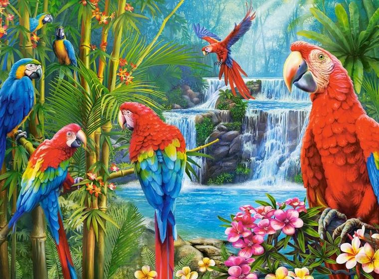 Castorland, Parrot Meeting, puzzle, 2000 elementów