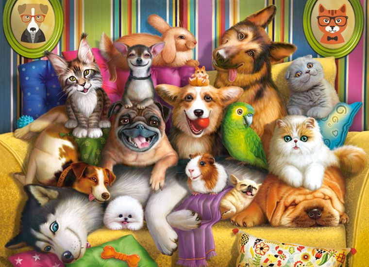 Castorland, Playful Pets, puzzle, 70 elementów