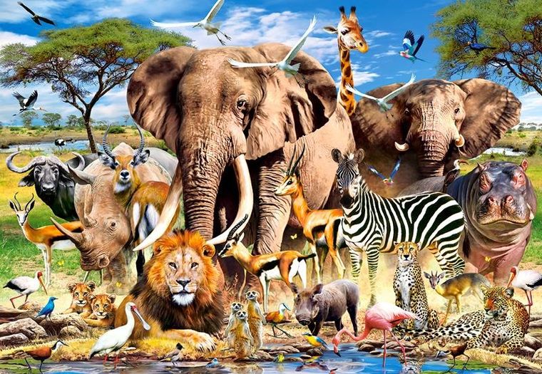 Castorland, Savanna Animals, puzzle, 1500 elementów