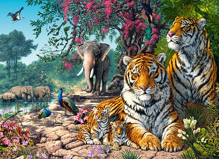 Castorland, Tiger Sanctuary, puzzle, 300 elementów