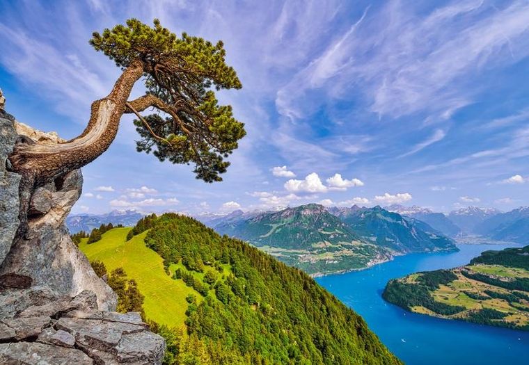 Castorland, View Of The Lake Of Uri, Switzerland, puzzle, 1000 elementów