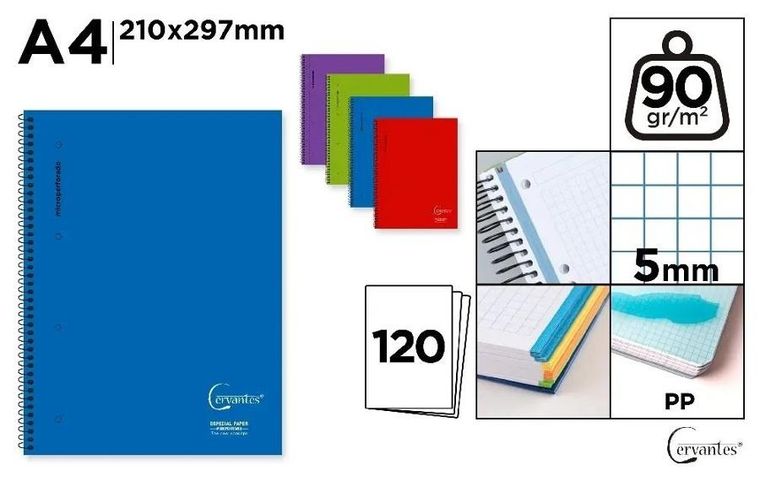 Cervantes, notatnik kołowy A4, 120 kartek, kratka, 1 szt.