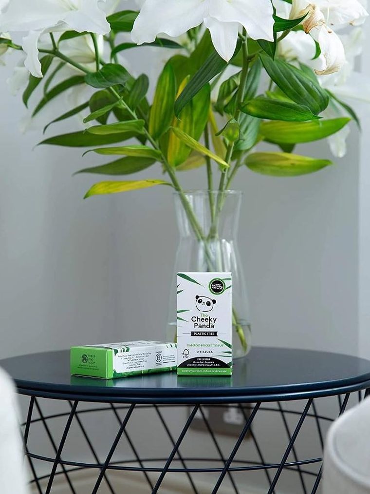 Cheeky Panda, chusteczki higieniczne kieszonkowe w pudełku, 10 szt.