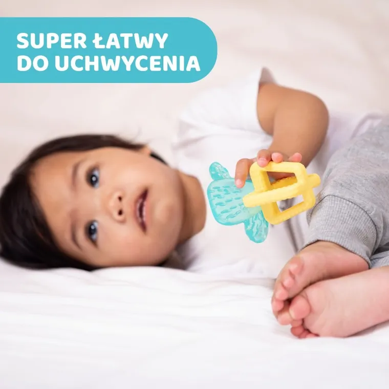 Chicco, Kaktus, gryzak wodny