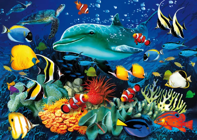Clementoni, Delfiny, puzzle 3D, 1000 elementów