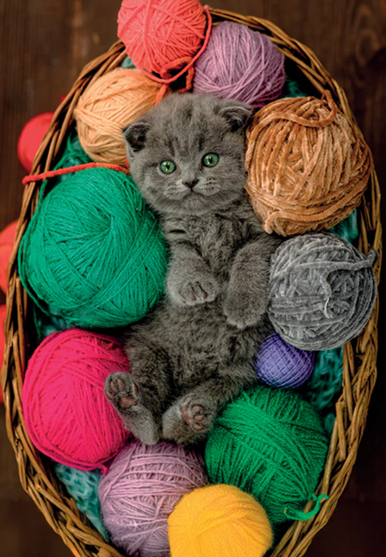 Clementoni, High Quality, Fluffy Kitten, puzzle, 500 elementów