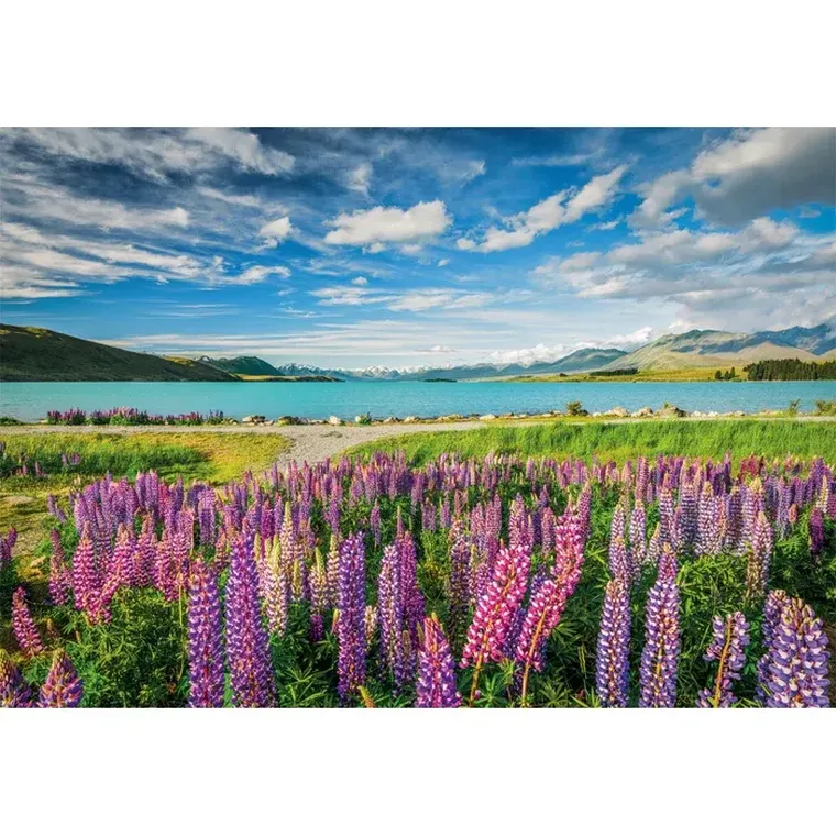 Clementoni, High Quality, Lupins At Lake Tekapo, puzzle, 1500 elementów