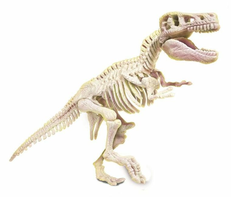 Clementoni, Naukowa Zabawa, skamieniałości, T-Rex fluorescencyjny, zestaw naukowy