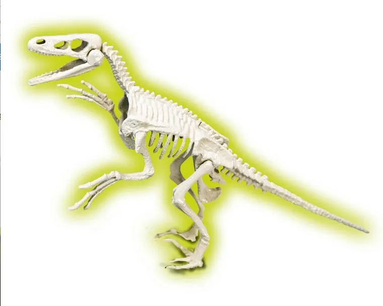 Clementoni, Naukowa Zabawa, Skamieniałości, Welociraptor fluorescencyjny, zestaw naukowy