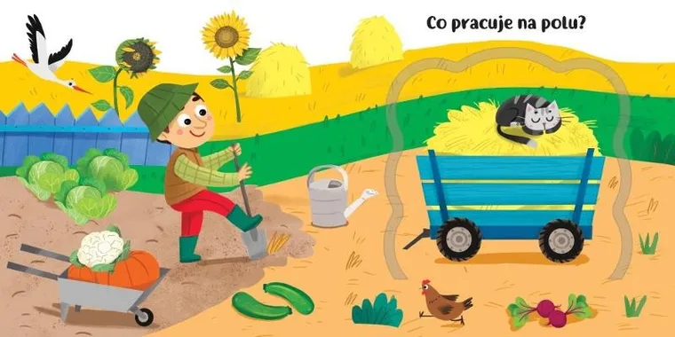 Co kryją okienka? Pojazdy