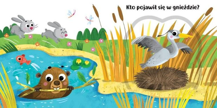 Co kryją okienka? W lesie