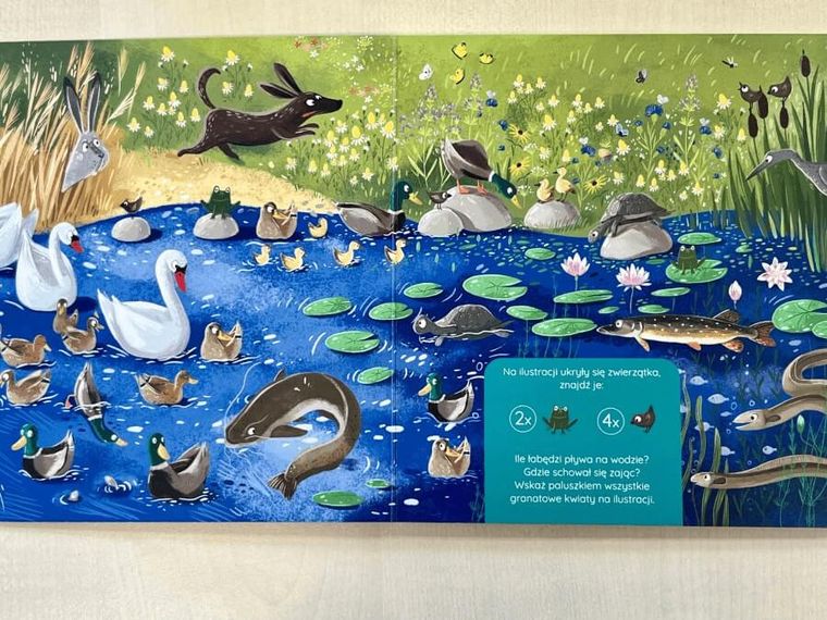 Co się kryje nad wodą i pod wodą