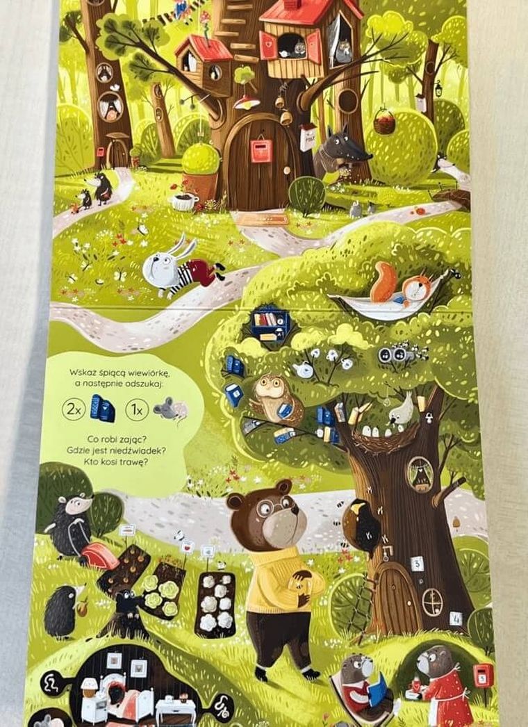 Co się kryje w lesie