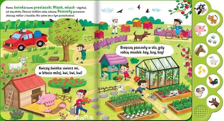 Co słychać? Na wsi. Książka dźwiękowa