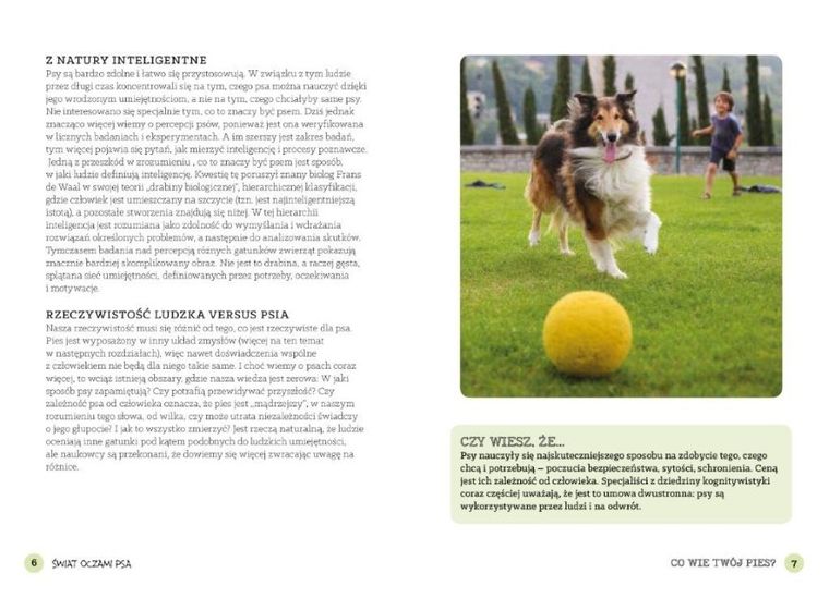Co wie Twój pies?