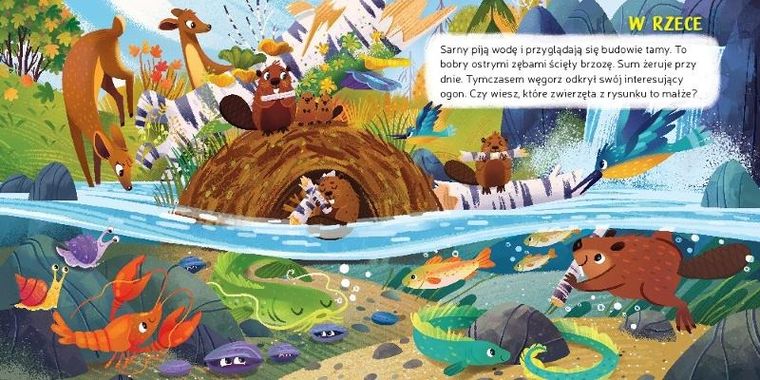 Co zobaczę pod wodą