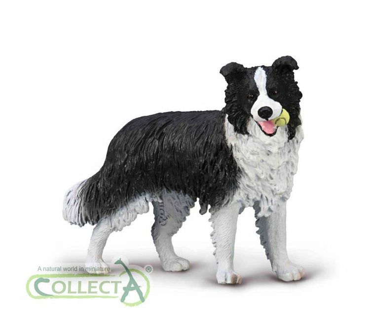 Collecta, Border Collie, figurka