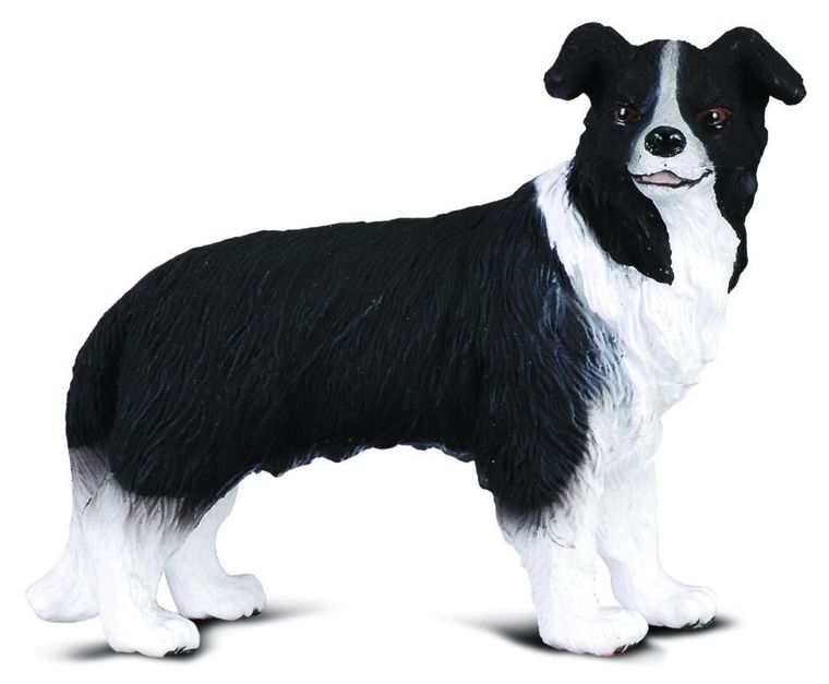 Collecta, Pies Border Collie, figurka, 88010
