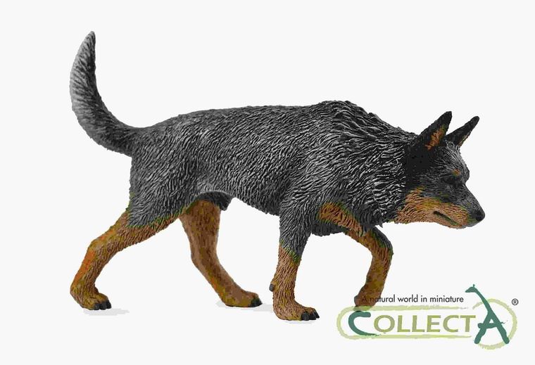 Collecta, Pies rasy Cattle, Australijski, figurka, 88672