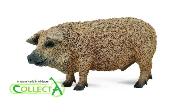 Collecta, Świnia Węgierska Mangalica, figurka, 88674