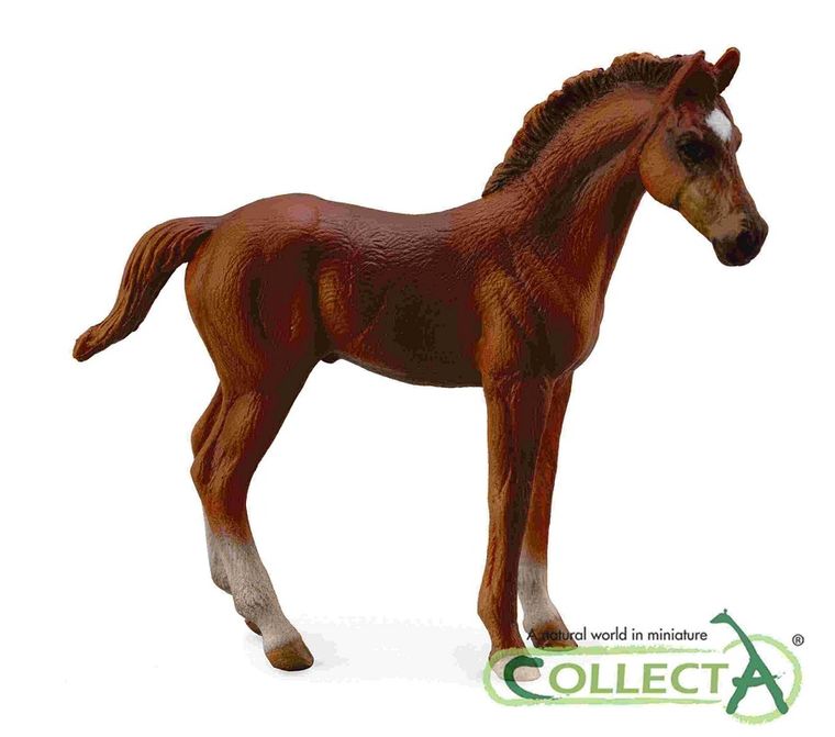 Collecta, Źrebię Pełnej Krwi Angielskiej Maści Kasztan, Stojące, figurka, 88671