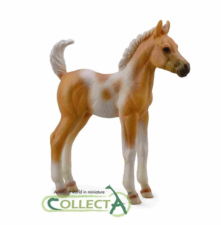 Collecta, Źrebię Rasy Pinto, Stojące, figurka, 88669
