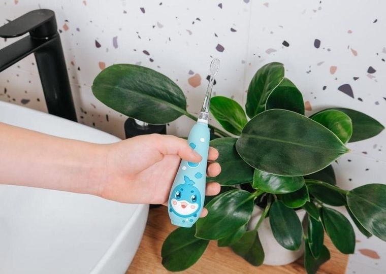 Concept, szczoteczka soniczna, niebieska, ZK3020