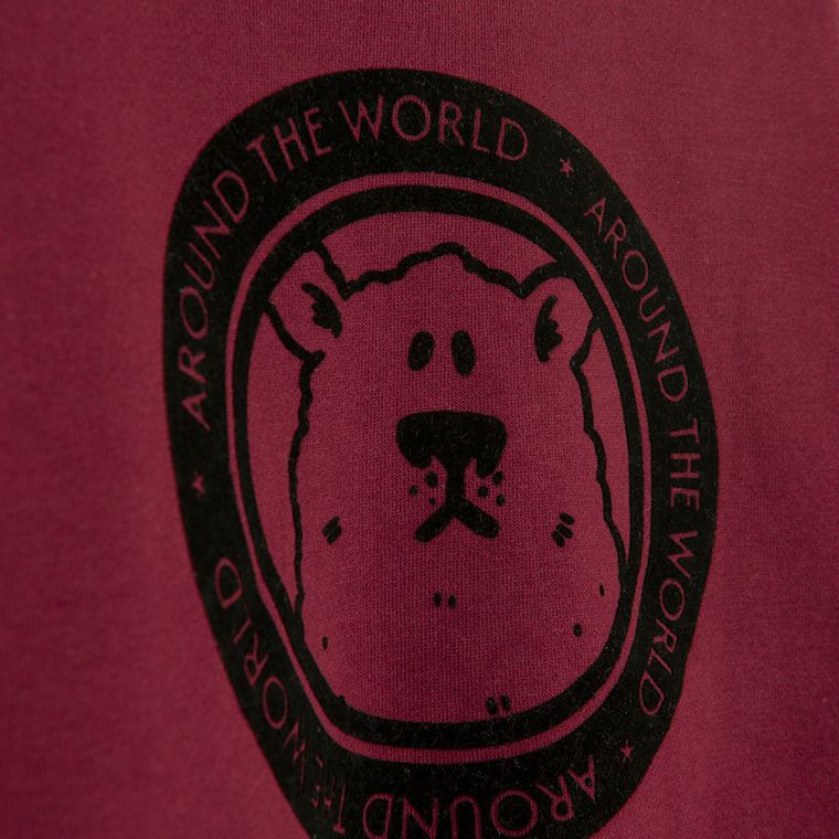 Cool Club, Bluza chłopięca, ocieplana, bordowa