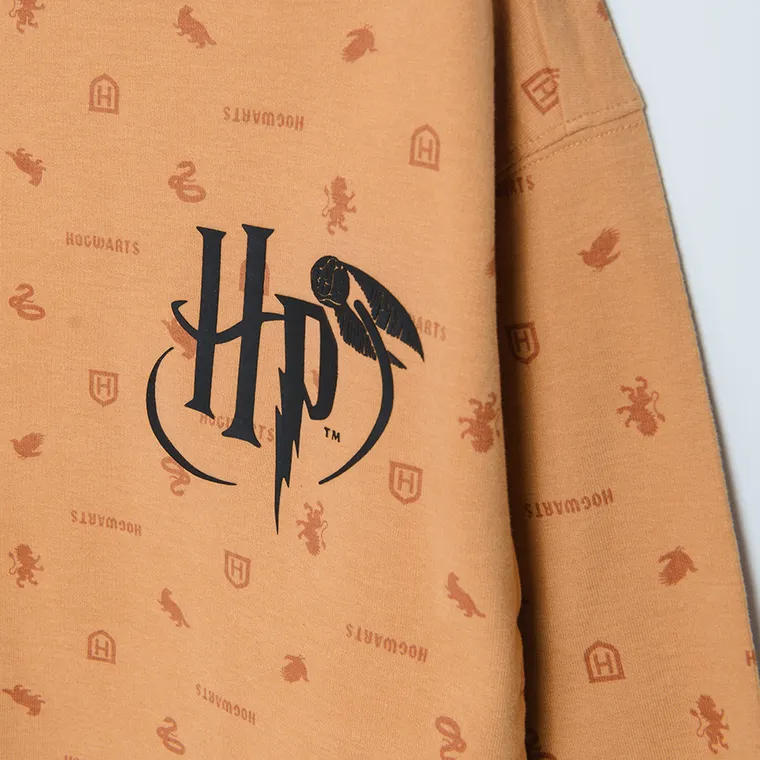 Cool Club, Bluza chłopięca, pomarańczowa, Harry Potter