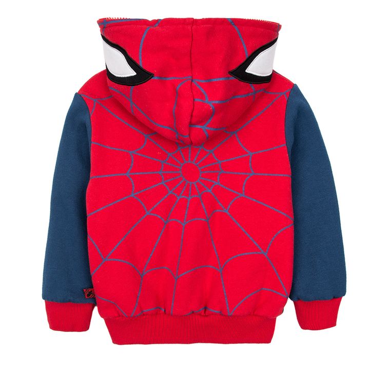 Cool Club, Bluza chłopięca, Spider-Man