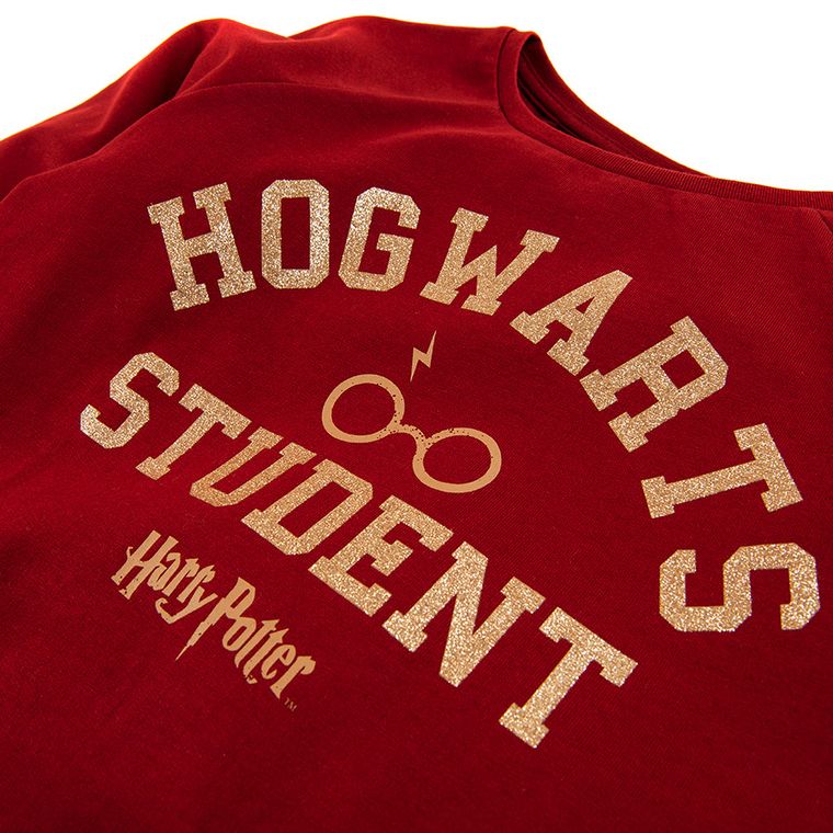 Cool Club, Bluza dziewczęca, bordowa, Harry Potter