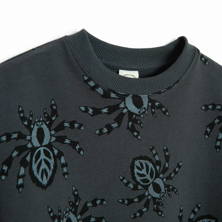 Cool Club, Bluzka chłopięca z długim rękawem, ciemnoszara