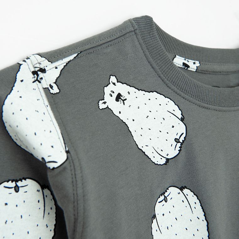 Cool Club, Bluzka chłopięca z długim rękawem, szara