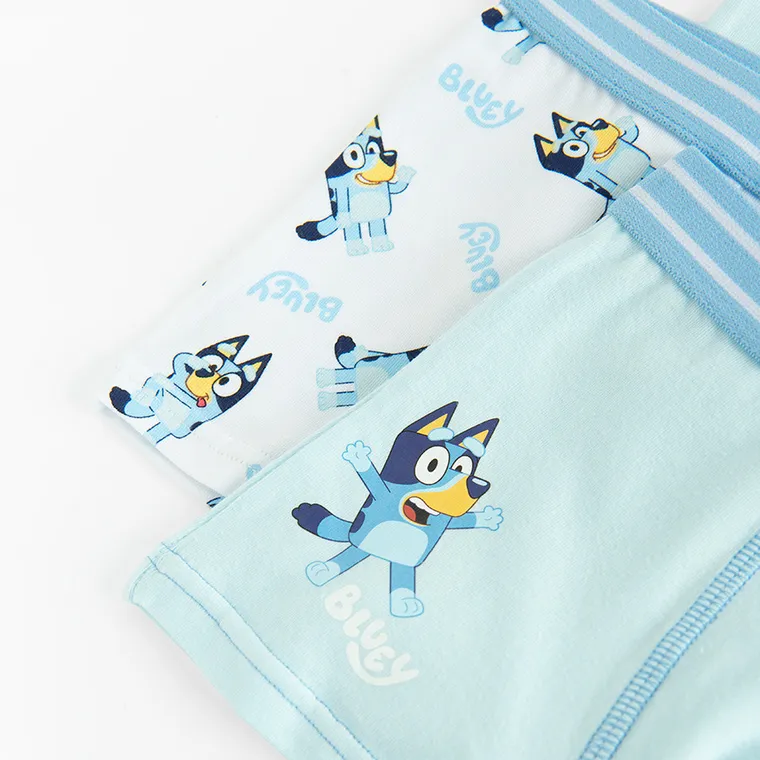 Cool Club, Majtki bokserki chłopięce, mix, Bluey, zestaw, 3 szt.