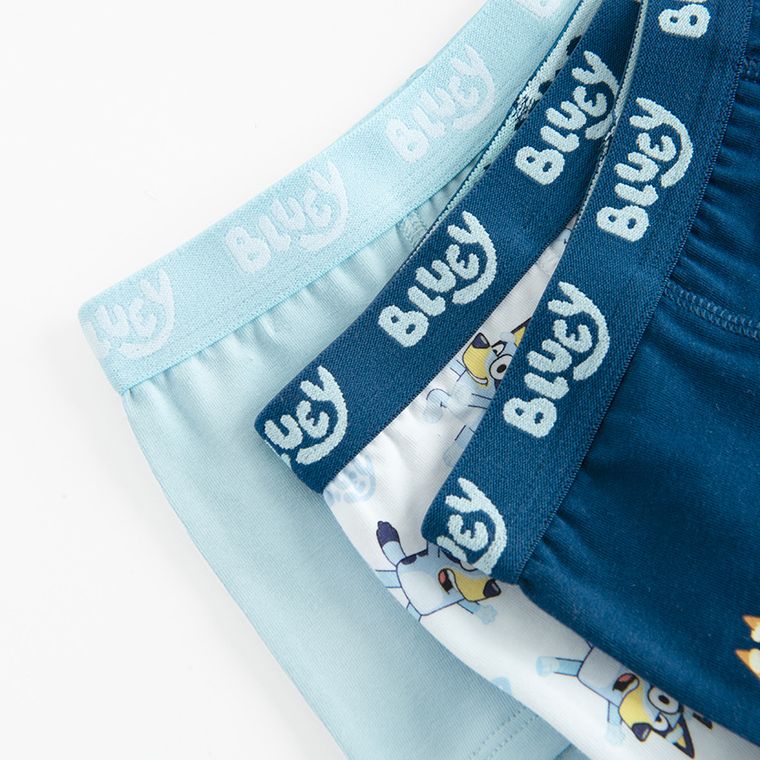 Cool Club, Majtki bokserki chłopięce, mix, Bluey, zestaw, 3 szt.