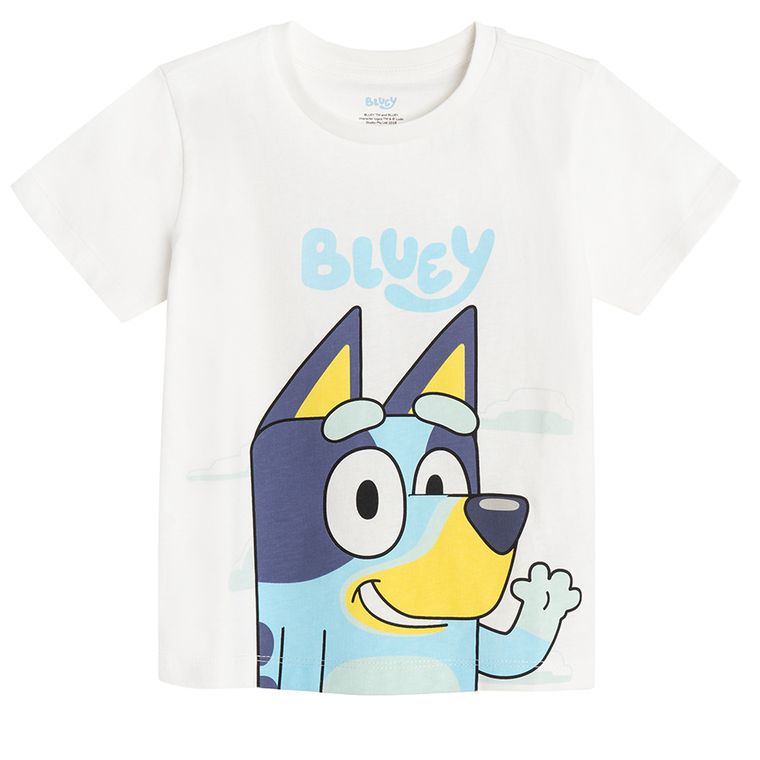 Cool Club, Piżama chłopięca, mix, Bluey