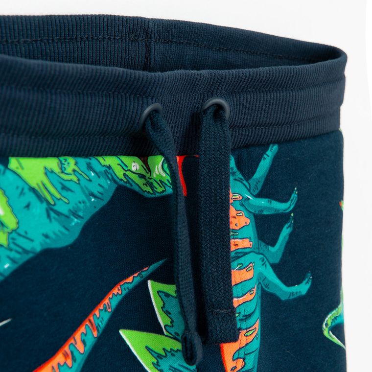 Cool Club, Spodnie dresowe chłopięce, granatowe