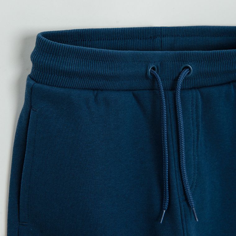 Cool Club, Spodnie dresowe chłopięce, niebieskie, Sonic the Hedgehog