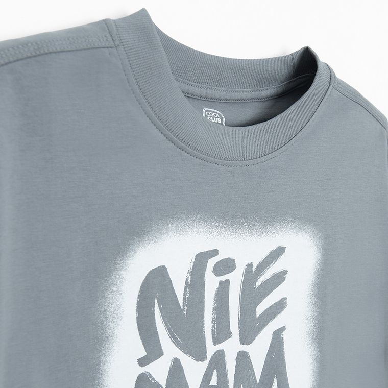 Cool Club, T-shirt chłopięcy, szary