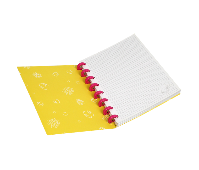 CoolPack, Lilo i Stitch, kołobrulion A5, 100 kartek, kratka, 1 szt.