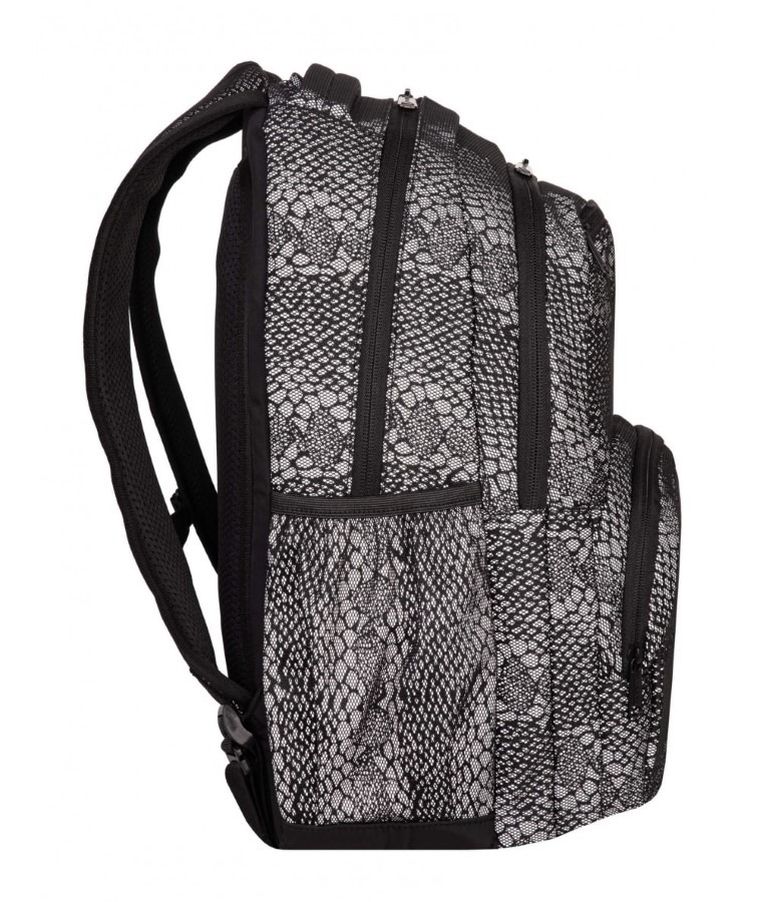 CoolPack, Pick, plecak szkolny, 2-komorowy, Flesh Dragon