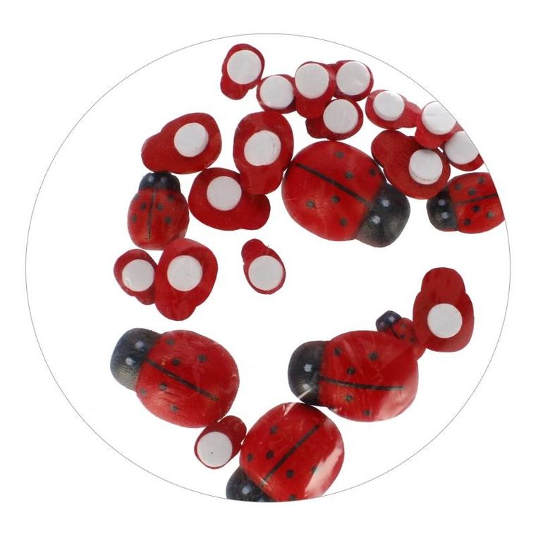 Craft With Fun, biedronki drewniane, 24 szt.