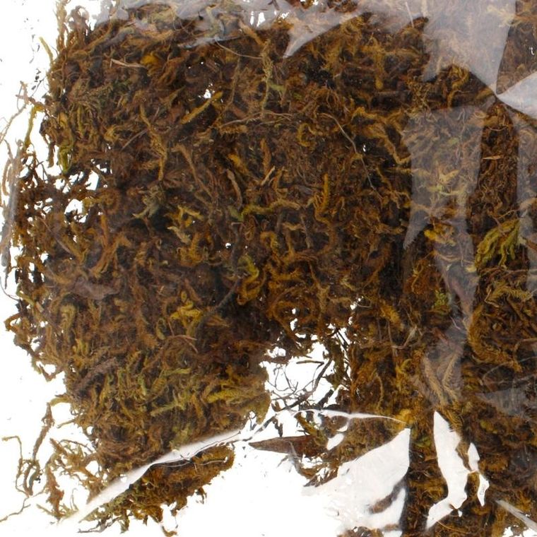 Craft With Fun, mech dekoracyjny, 50g