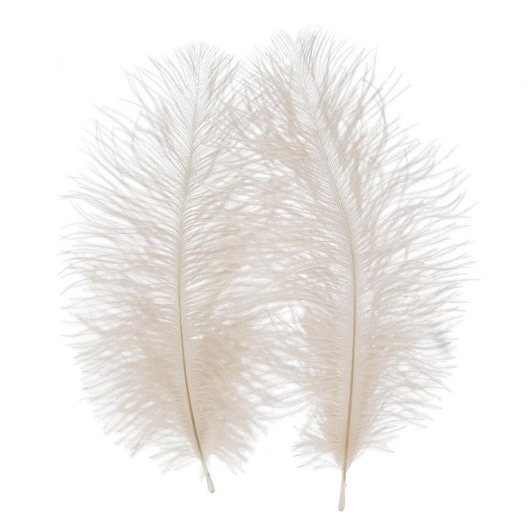 Craft With Fun, ozdoba dekoracyjna, piórka, białe, 15-20 cm, 2 szt.