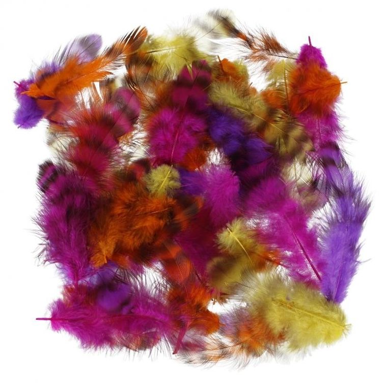 Craft With Fun, ozdoba dekoracyjna, piórka, cętki, 2g