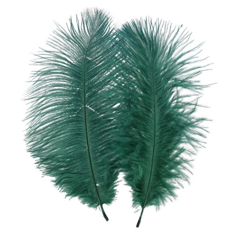 Craft With Fun, ozdoba dekoracyjna, piórka, zielone, 15-20 cm, 2 szt.