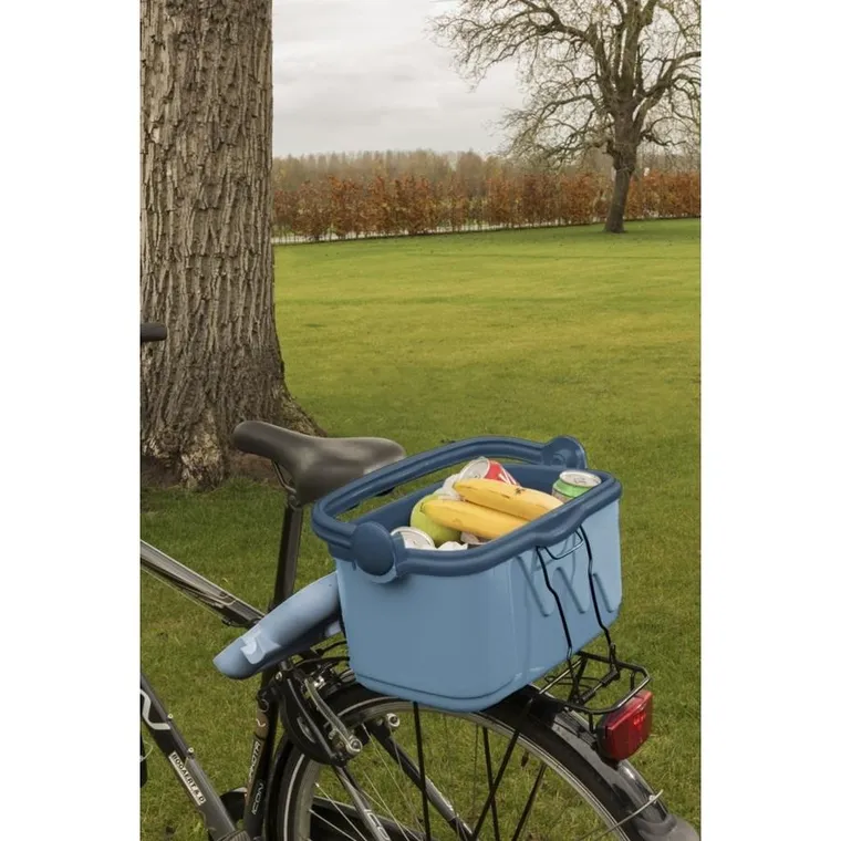 Curver, lodówka turystyczna, niebieska, 10L, 261193