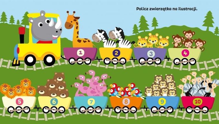 Cyferki. Książeczka edukacyjna