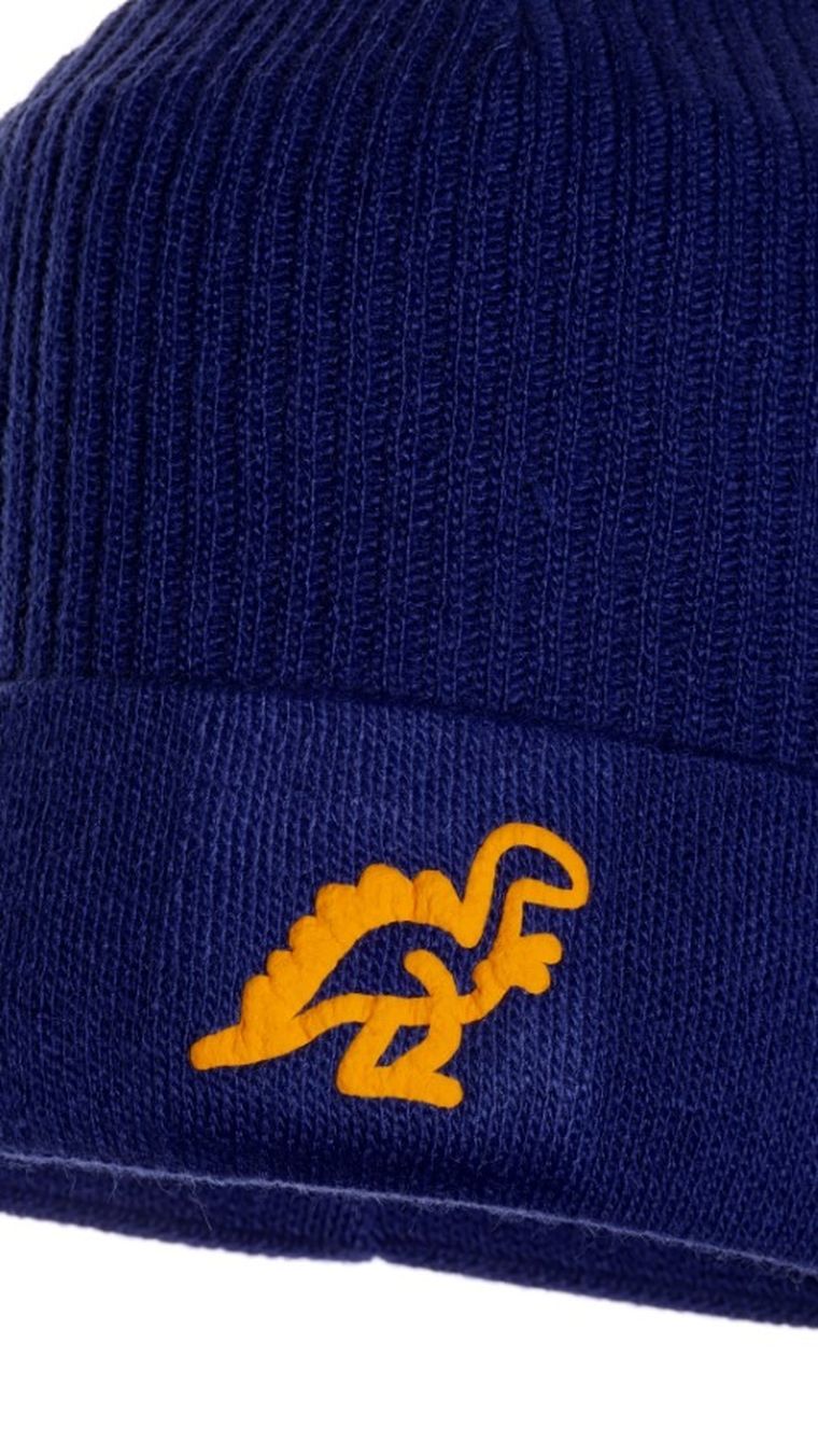 Czapka chłopięca, granatowa, Ambra