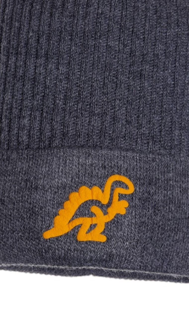 Czapka chłopięca, szara, Ambra